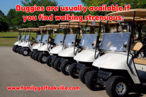 A buggy is one of the golf basics for beginners