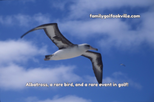 What is an Albatross in golf? is a reference used for a rare occurance